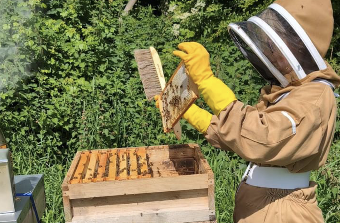 Teacher’s life-threatening allergic reaction to multiple bee stings treated by Anaphylaxis Kitt