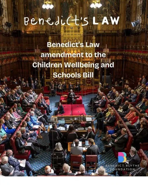 Benedict s Law The School Allergy Safety Bill New Statutory Guidance benedict-s-law-the-school-allergy-safety-bill-new-statutory-guidance