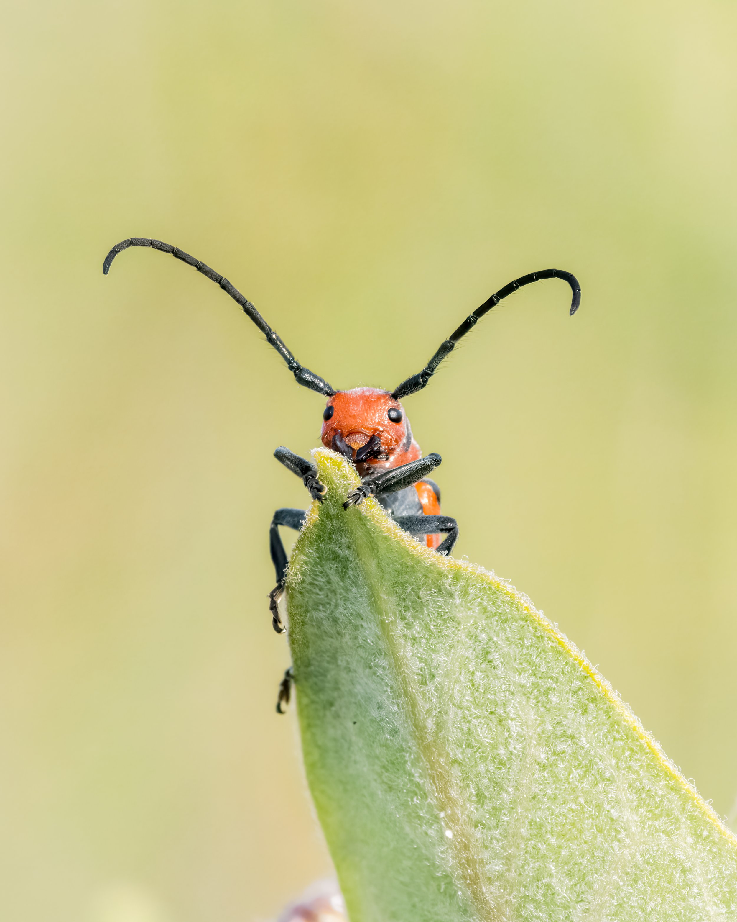 IMG_5600-Edit.jpg