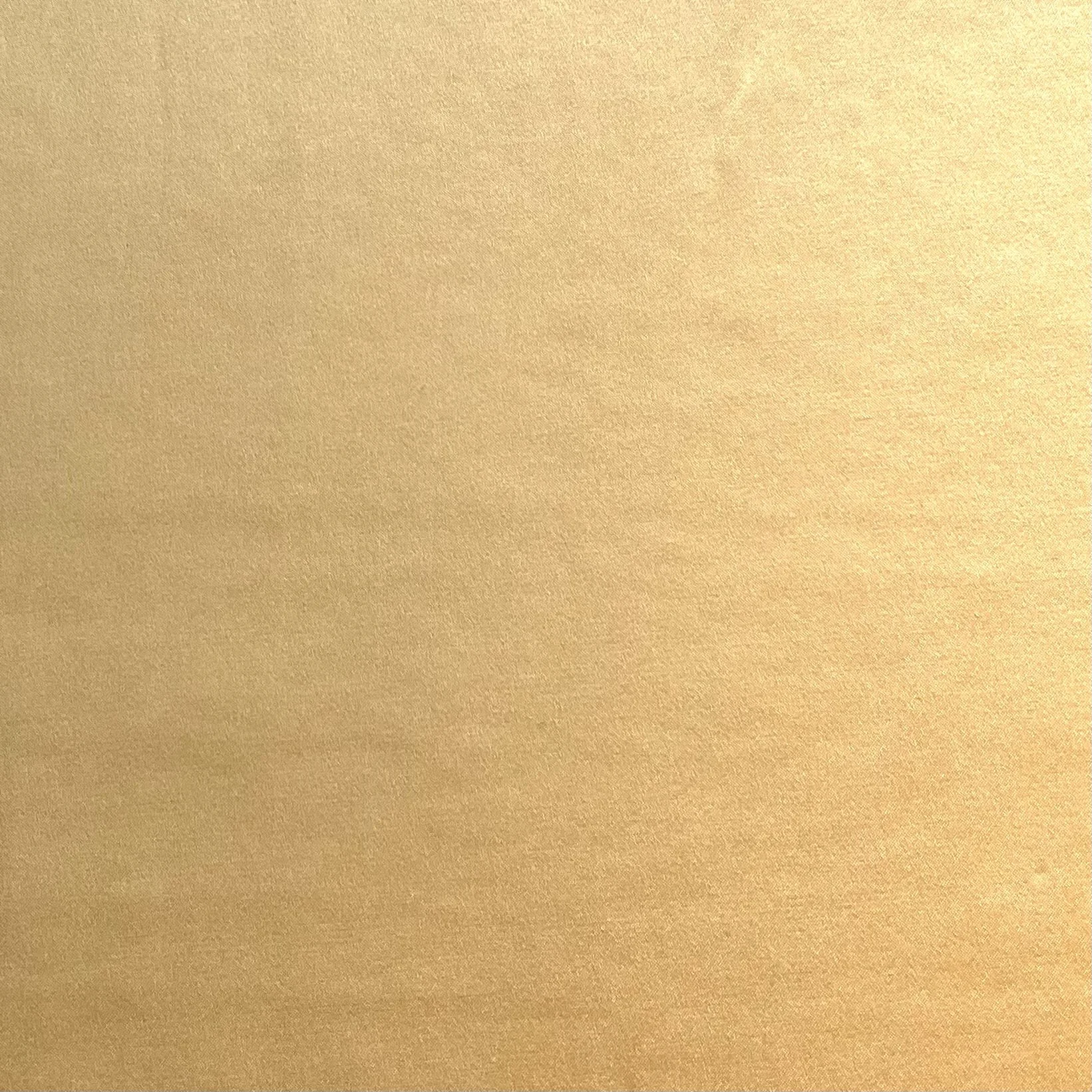IMG_2058.jpeg