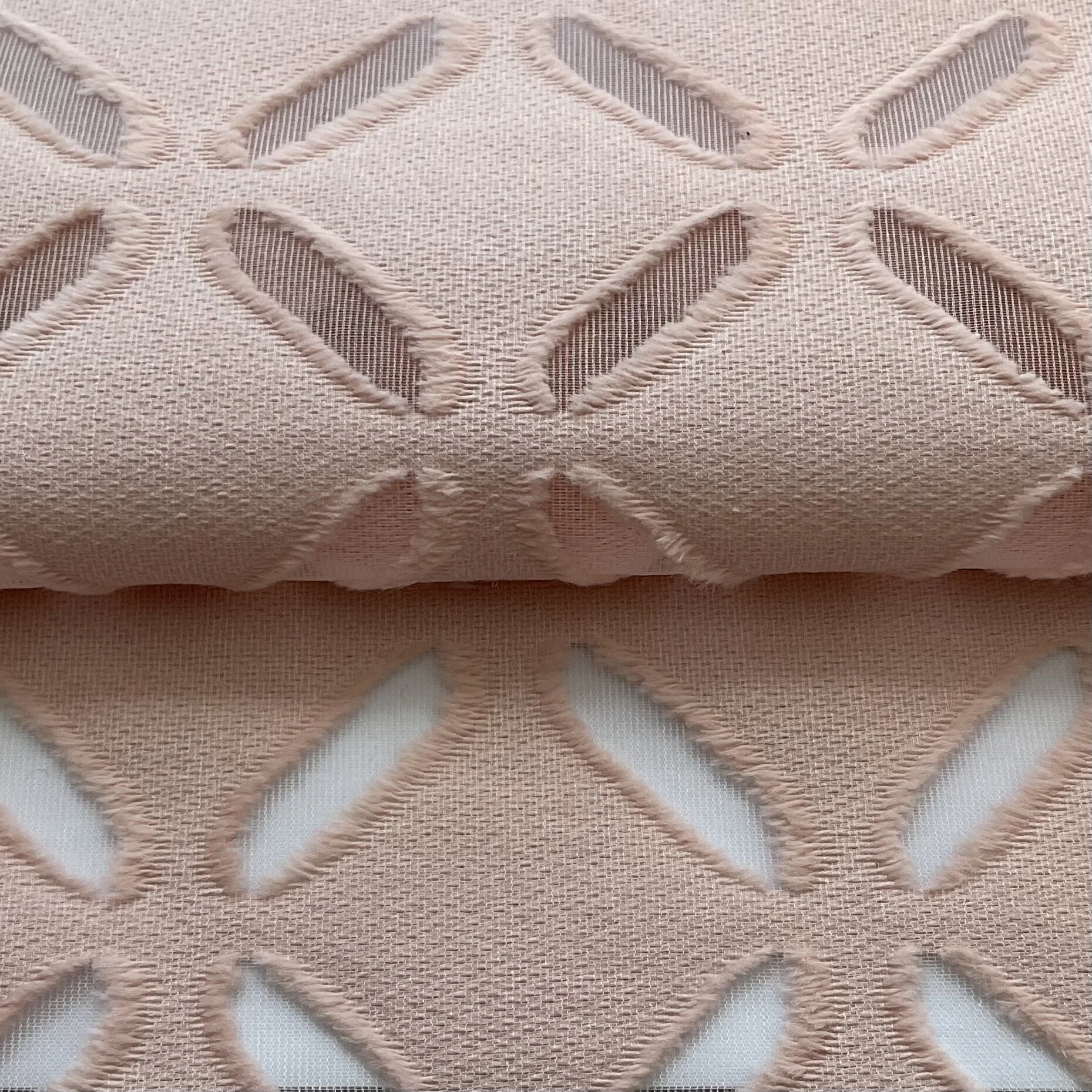 Pearl Pink Dupion Silk Devore Organza