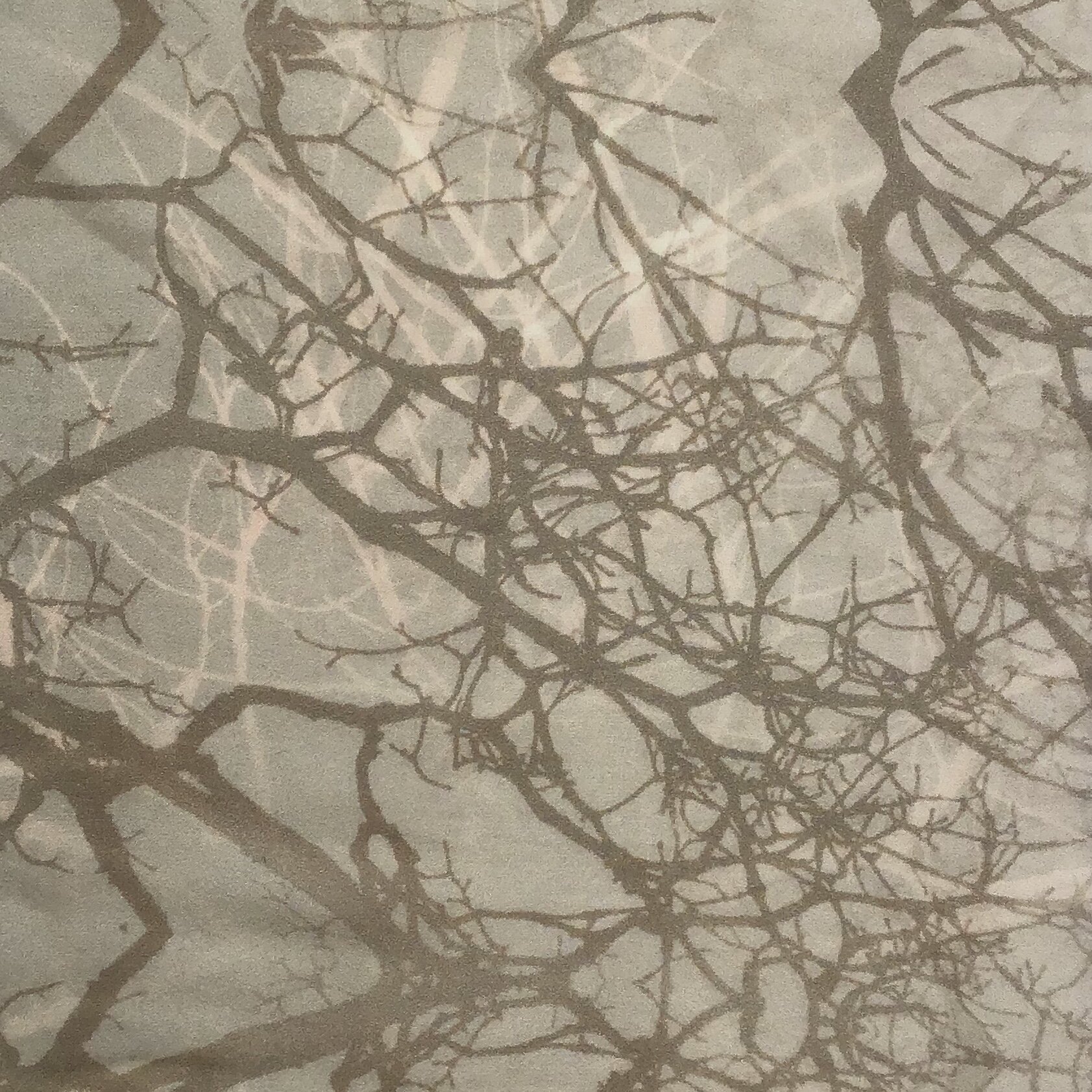 218AD513-12F9-432A-909B-195C05068C20.jpeg