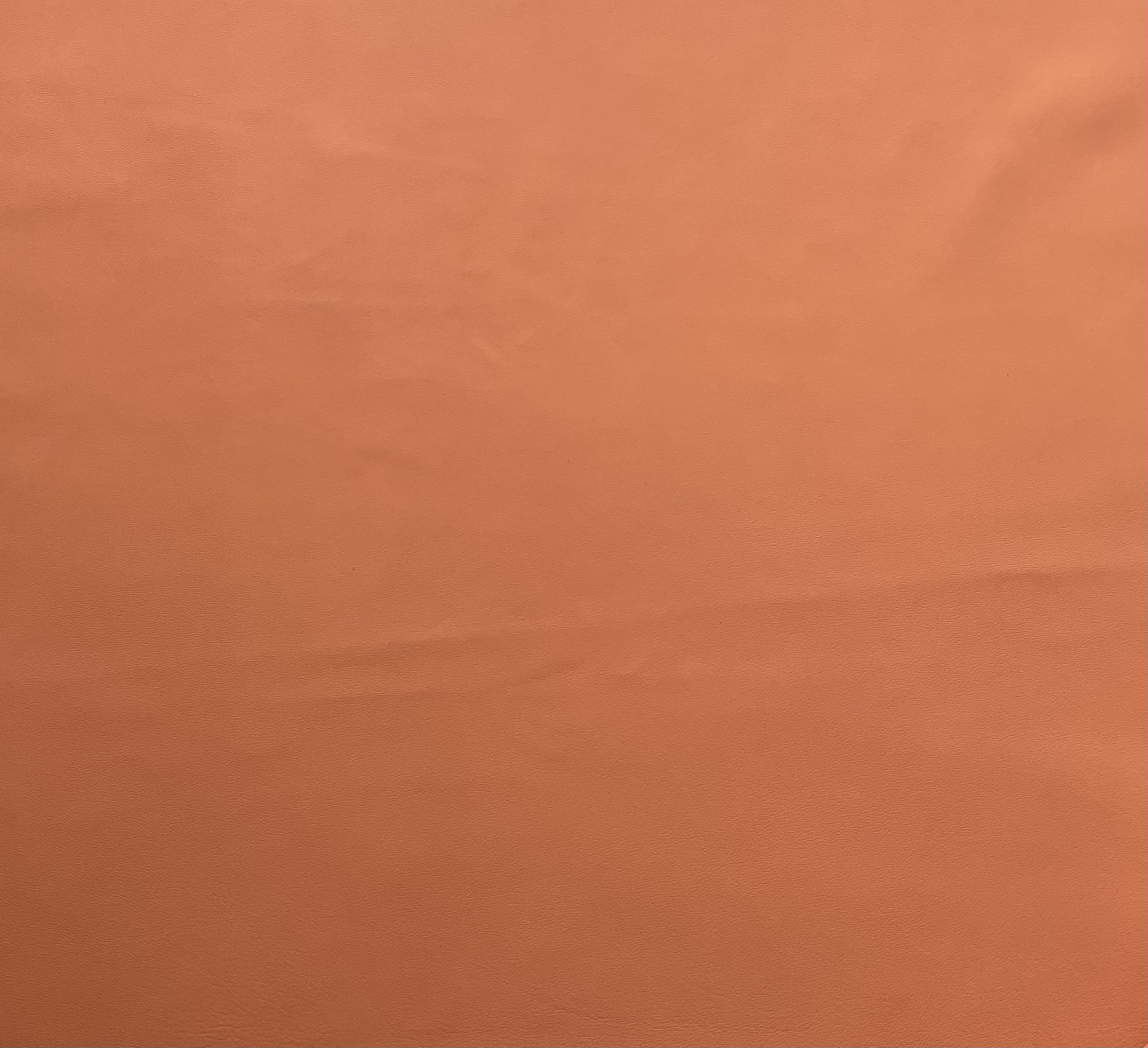 D57836B9-E4C4-478E-B2C8-9A32BDB48C34.jpeg