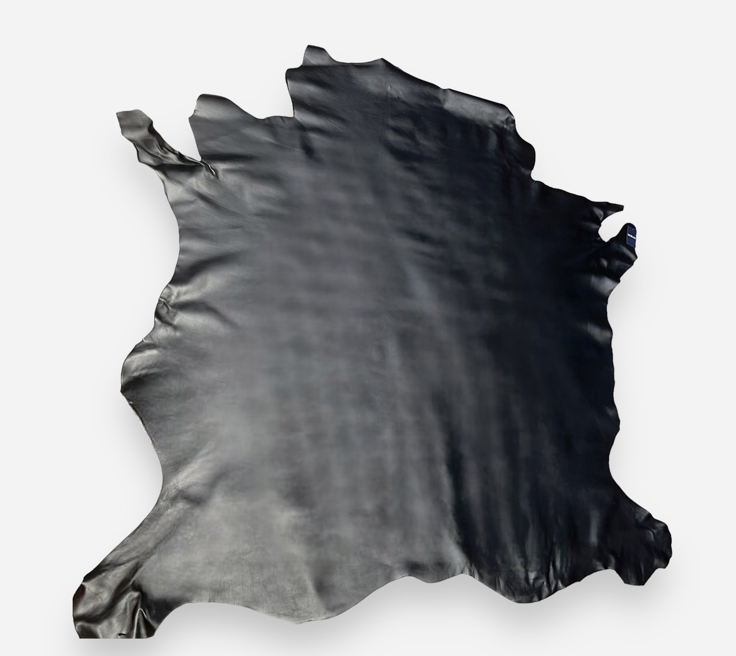 58E92D54-28DD-46D1-9E1F-BA4F479CA5C8.jpeg