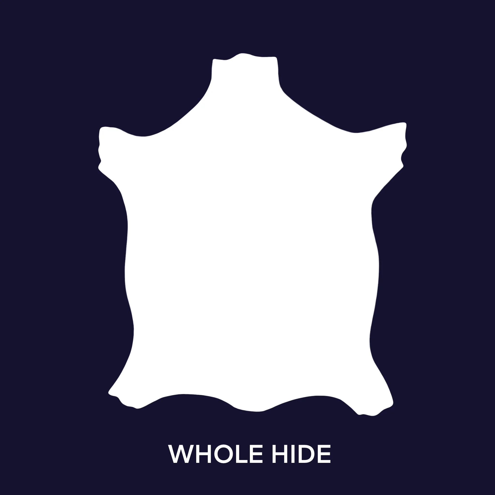 IMG_7079.jpeg (Copy)