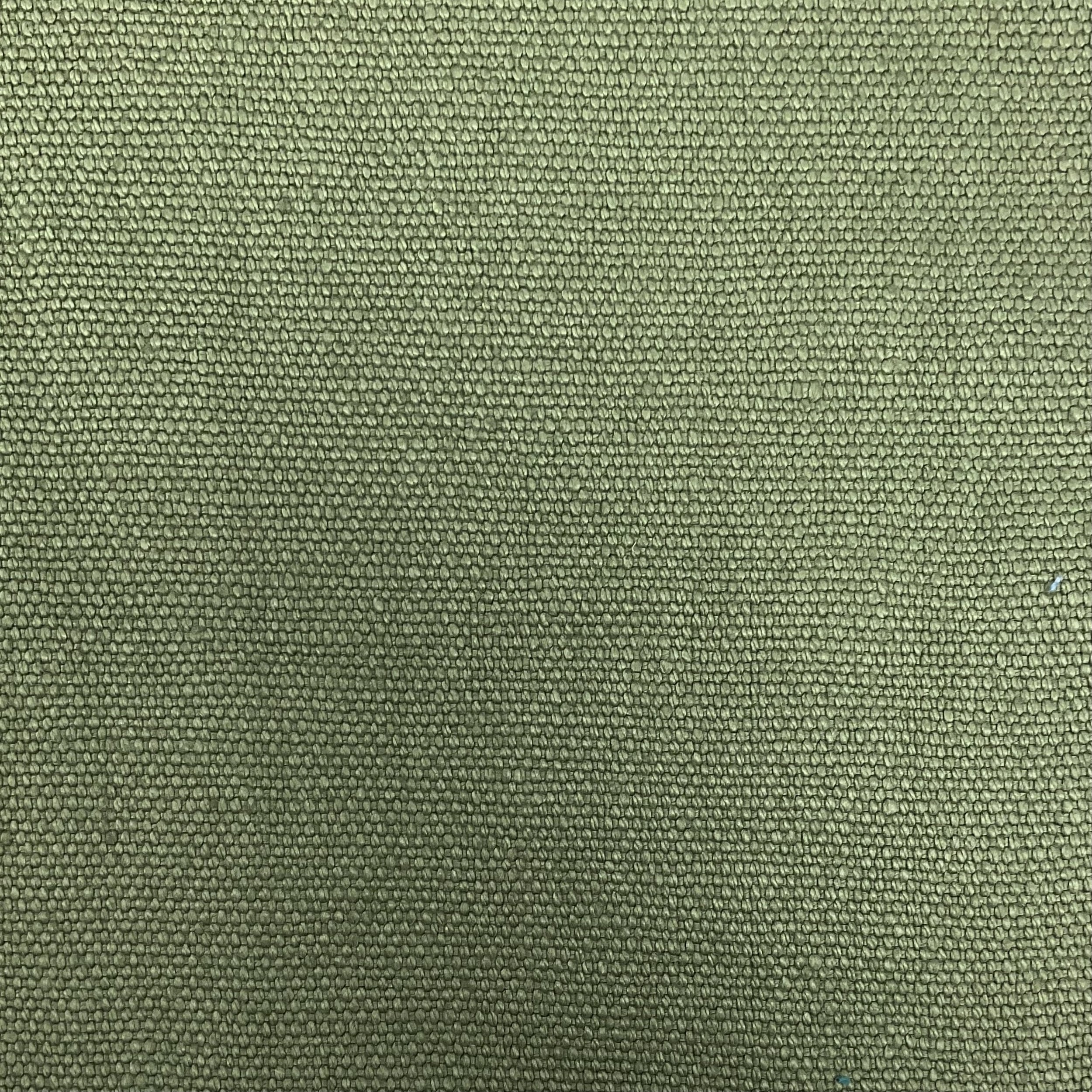 IMG_1954.jpeg