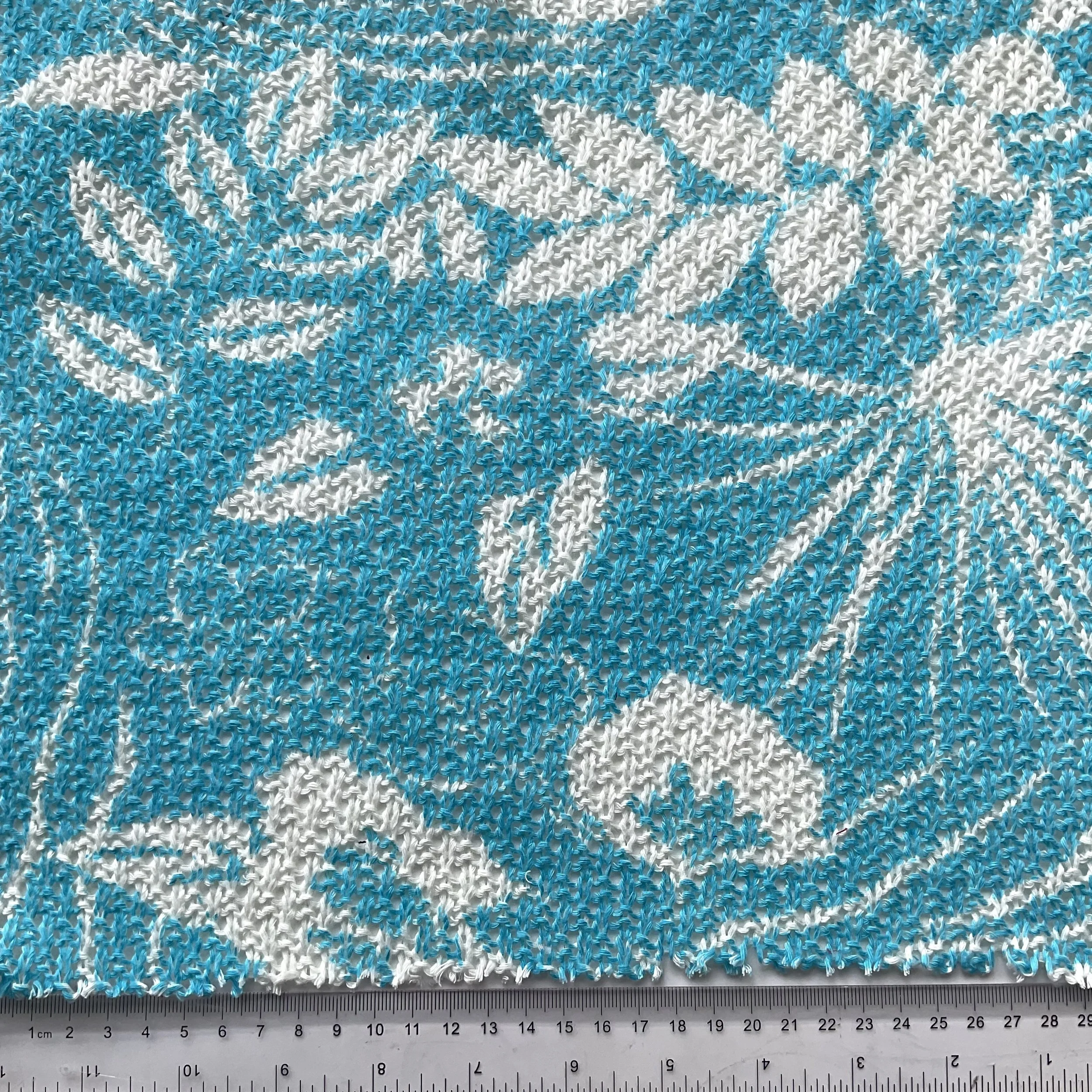 IMG_2212.jpeg
