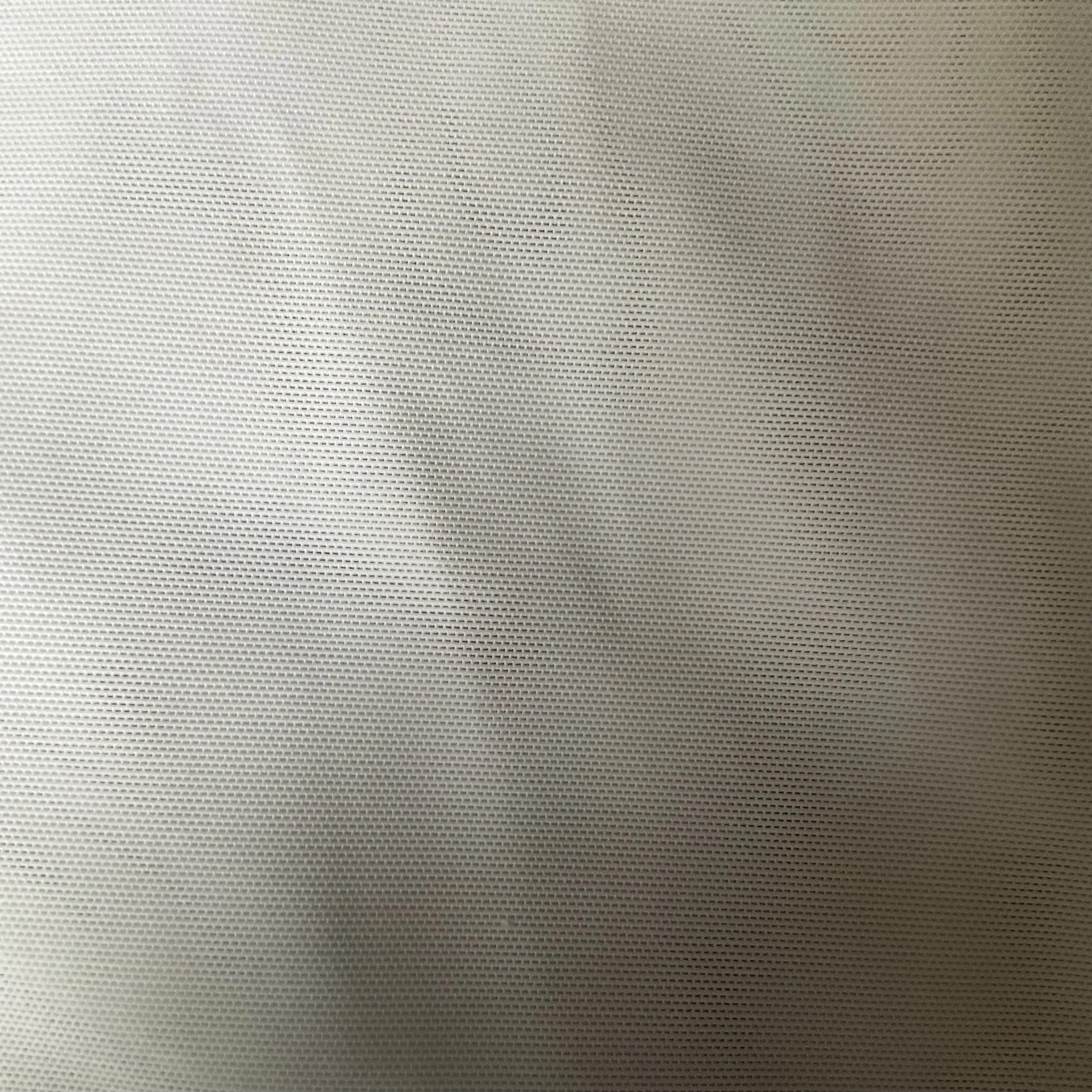 IMG_2037.jpeg