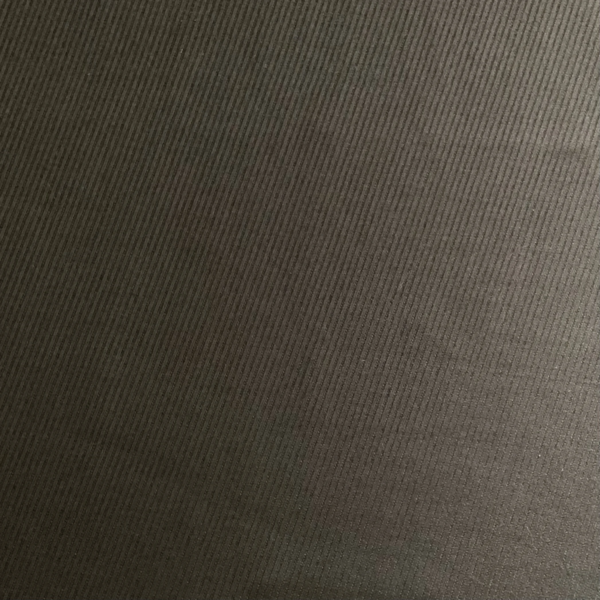IMG_2062.jpeg