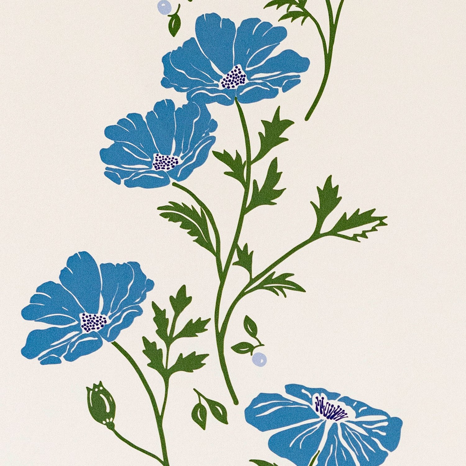 M&M_poppy_blues_WP_square_detail2.jpg