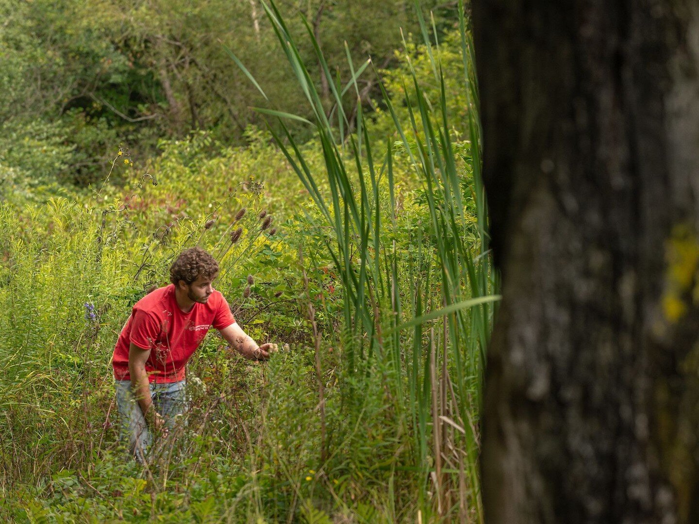 @hiramcollege has formed a partnership with Campus Nature Rx to build outdoor programming more seamlessly into the lives of students and encourage the use of outdoor spaces to their advantage. More info is a the link in our bio.
.
.
.
.
#HiramCollege