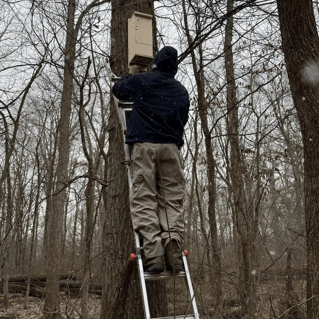 The flying squirrels in Central Ohio's Blacklick Woods Metro Park had a helping hand just in time for the winter weather. A @uriogrande professor donated and installed new habitats to serve as an escape for Ohio&rsquo;s most common squirrel 🔗 https: