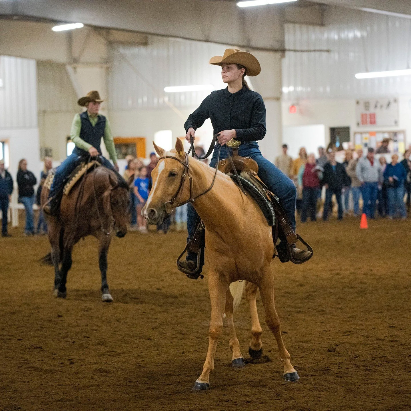 #MotW Where else can college students run a real horse sale? @ufindlay's Equine Marketing class is hosting the university's 21st Annual Spring Horse Sale, a real-world experience you can only get at UF.  #UFindlay #OilerNation #MemberoftheWeek https:
