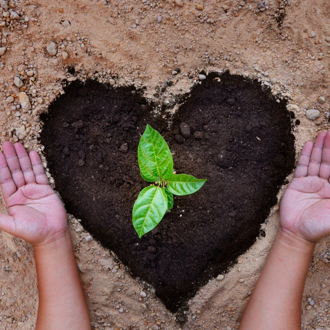 Honoring the Earth, Awakening Your Path