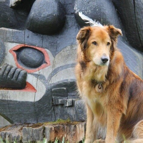 Sunday flashback!  Breeze embracing her warrior side. 

Vancouver Island

#reincarnated #higherself #trustyourintuition #spiritualhealing #reincarnation