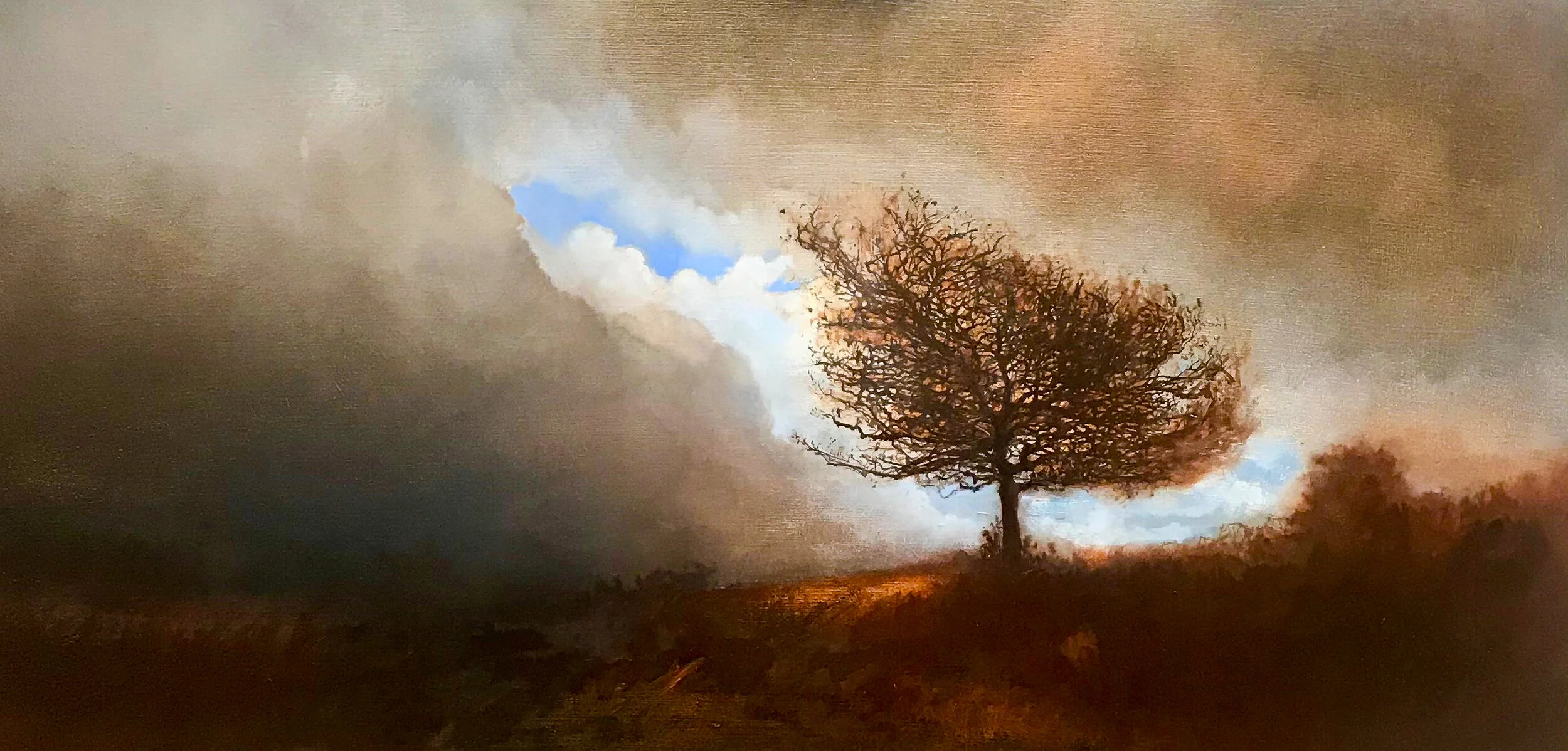 Lone tree on Garn Goch mountain in autumn