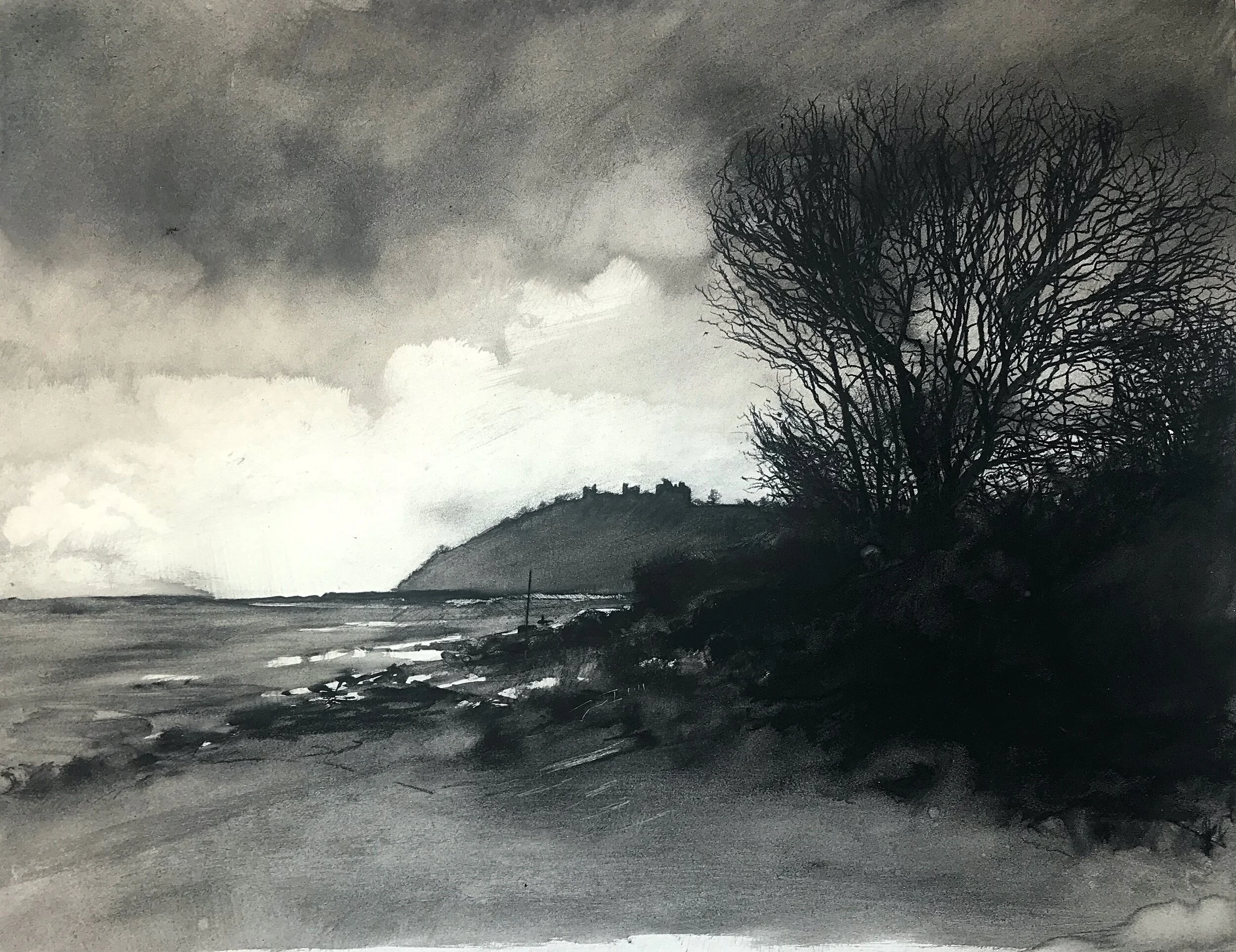 Tree and Castle at Llansteffan