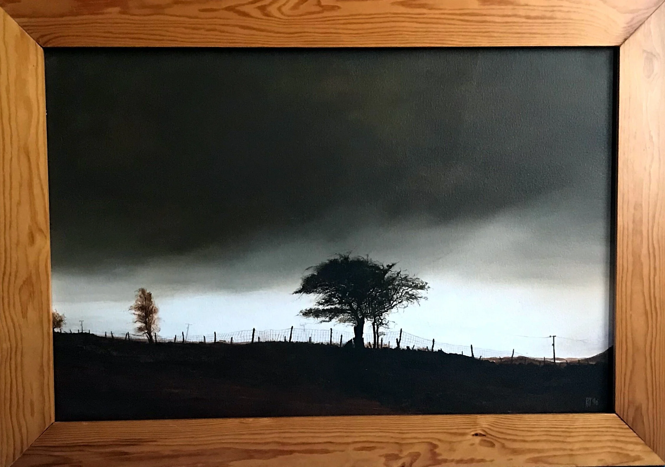 16 Tree Black Mountain.jpg