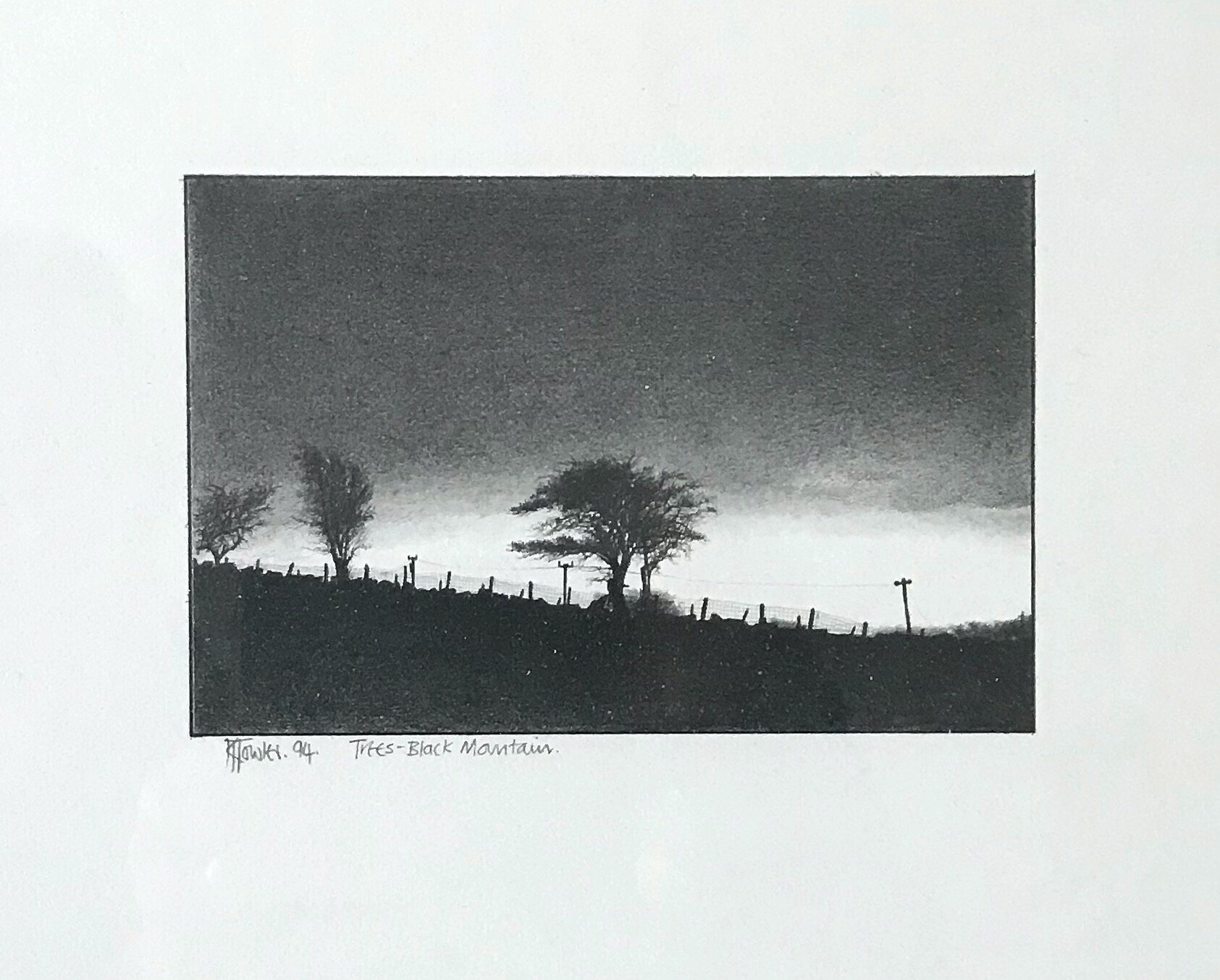 Tree on the Black Mountain