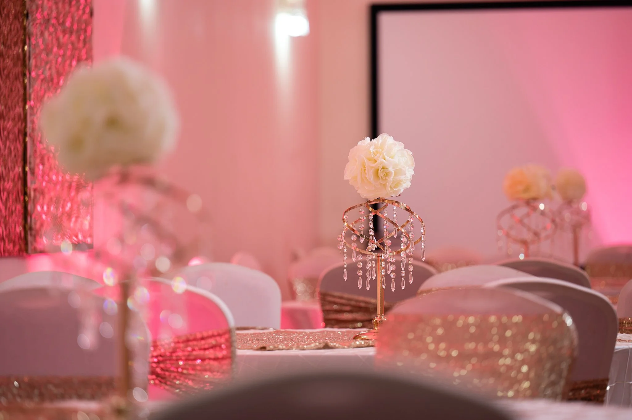 south-asian-wedding-photography-mehndi-photos-houston-tx-david-baker-studios-llc-74.JPG