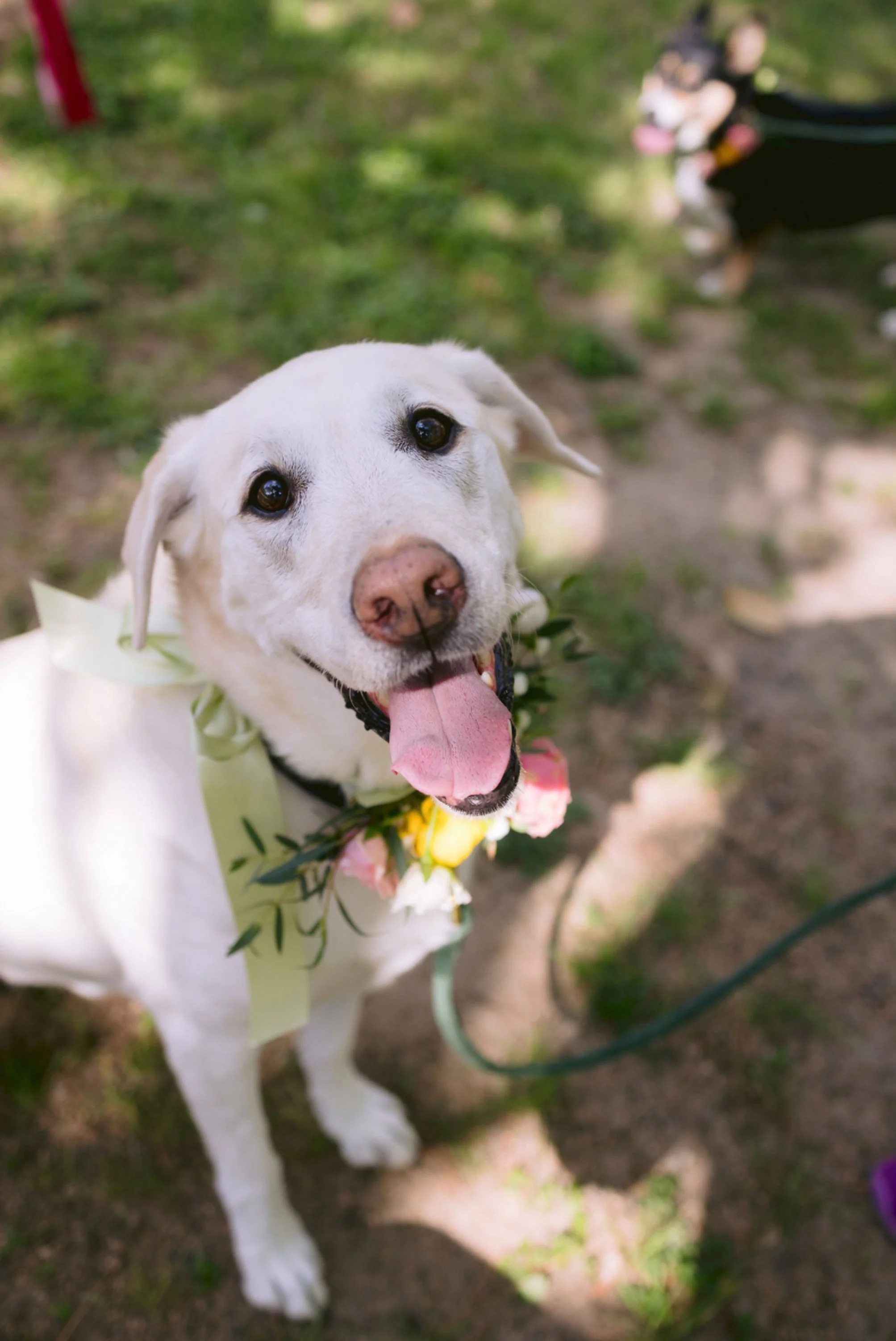 Bayou-Club-Of-Houston-country-club-wedding-david-baker-studios-llc-11.JPG
