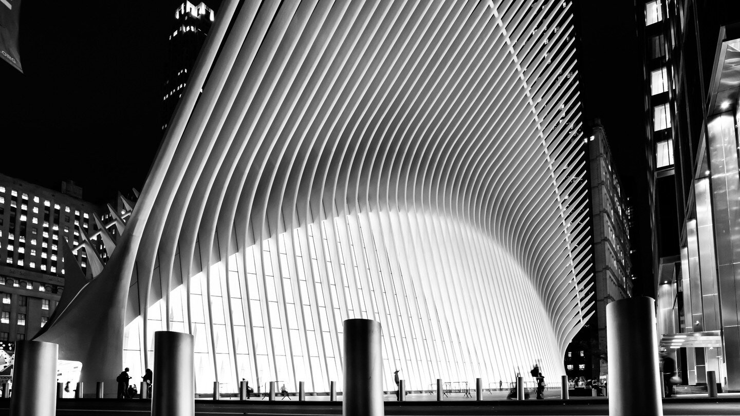 The Oculus, NYC

#bw #bwphotography #fineart #shapes #light #nikonphotography #exhibition #newyork #nyc