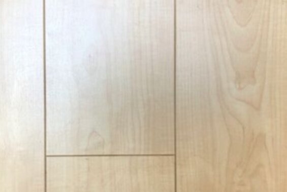 Northern Maple