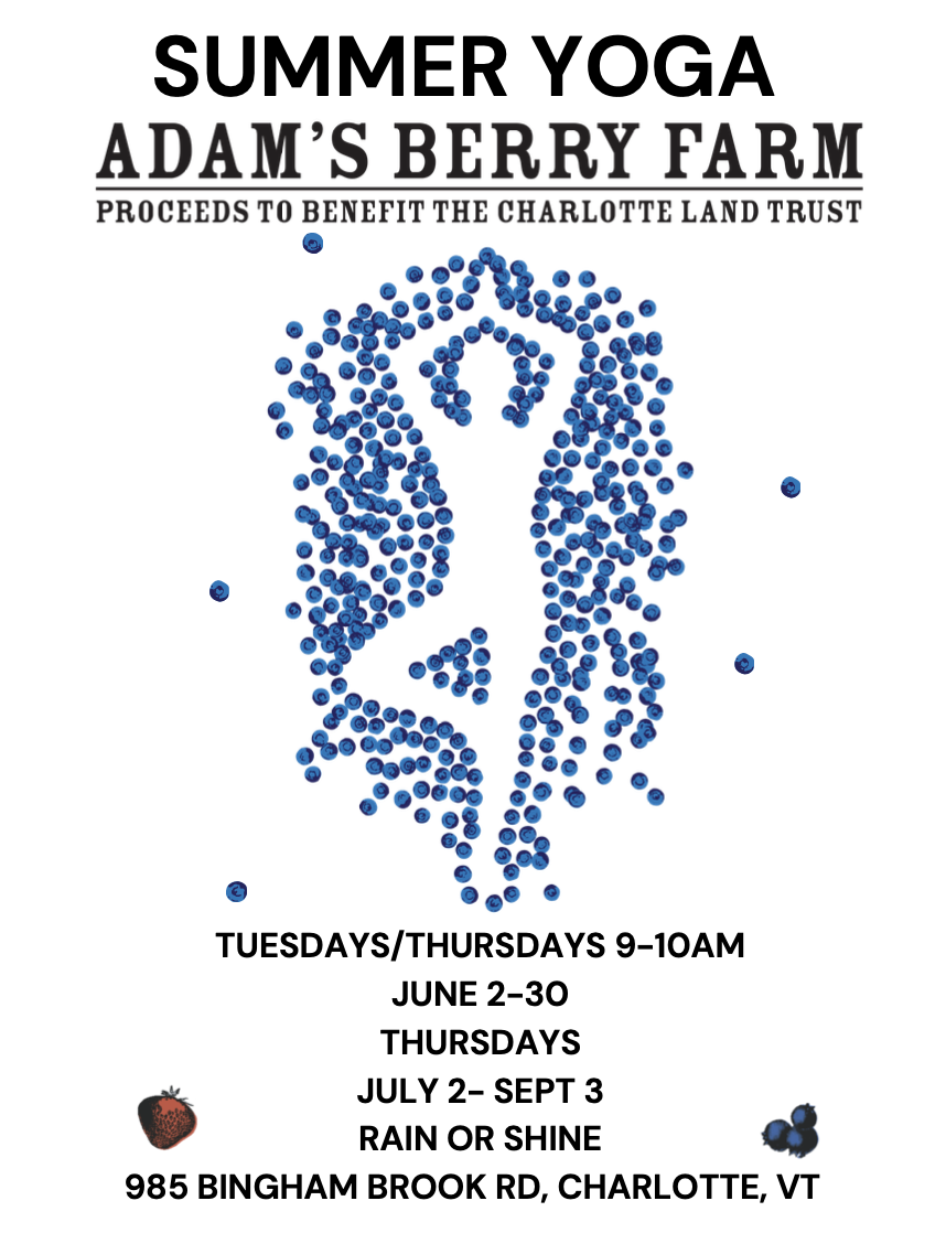 Yoga at Adam’s Berry Farm begins June 2