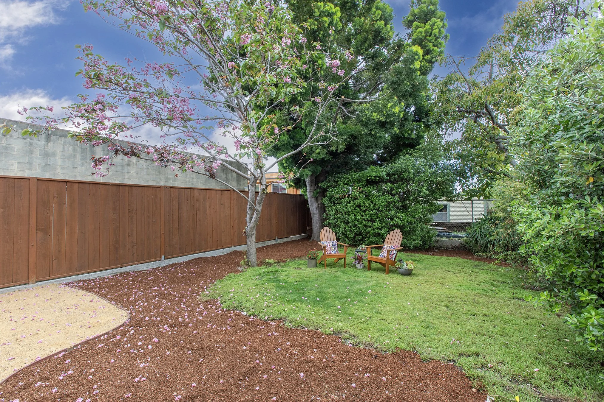 4025Webster Yard3.jpg