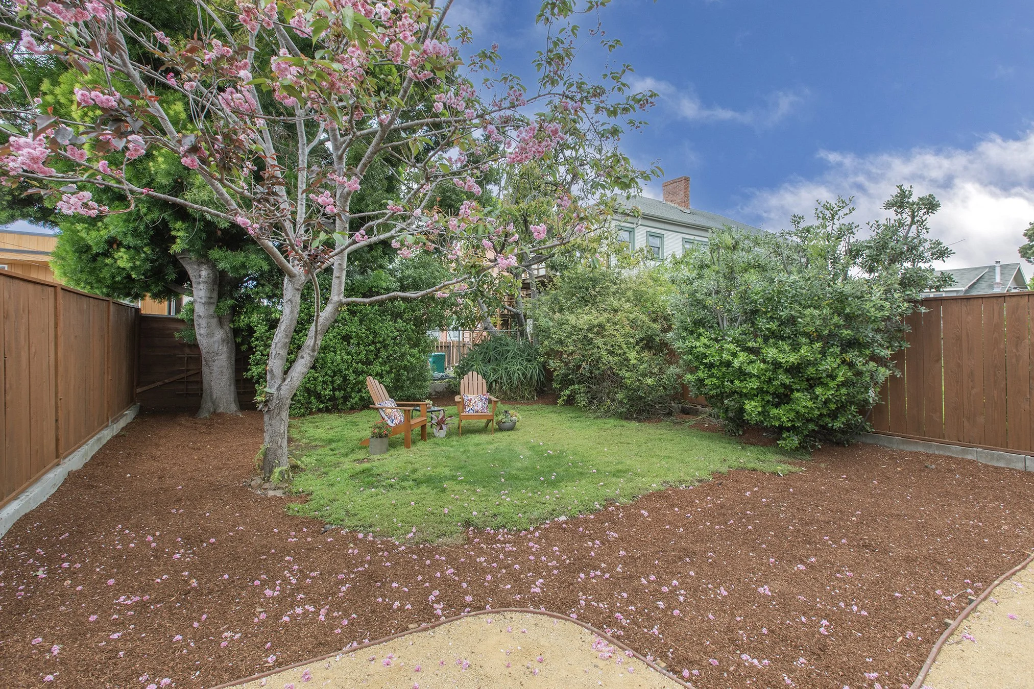 4025Webster Yard6.jpg