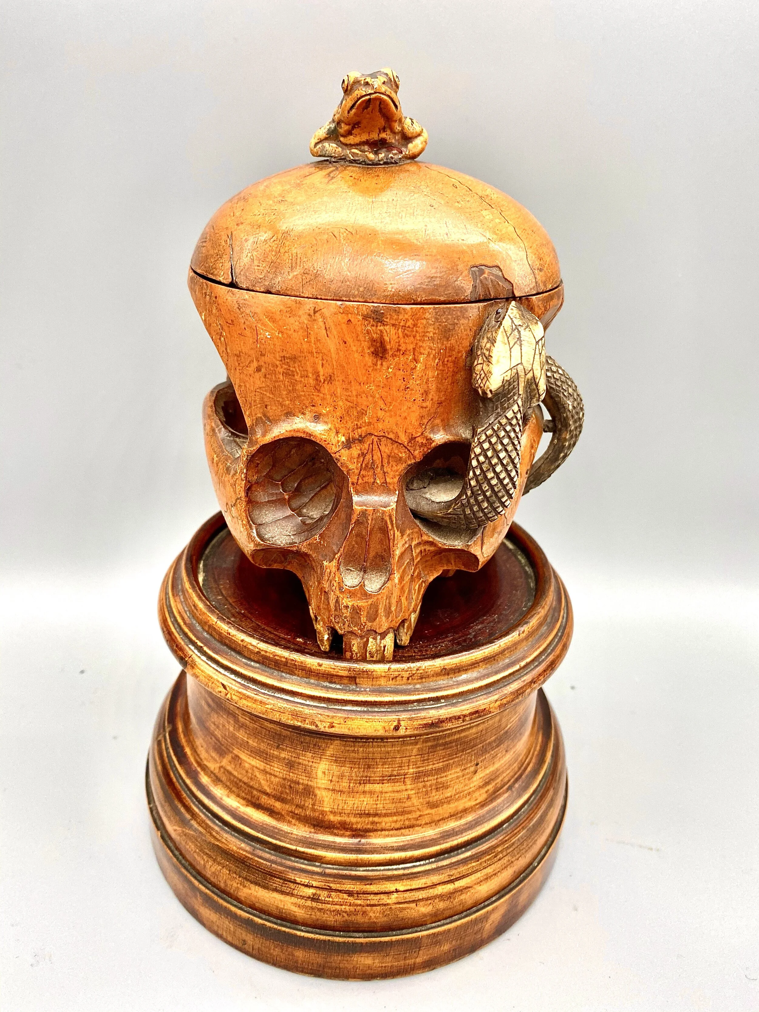 Magnificent and Very Rare Momento-Mori  Vanitas Skull