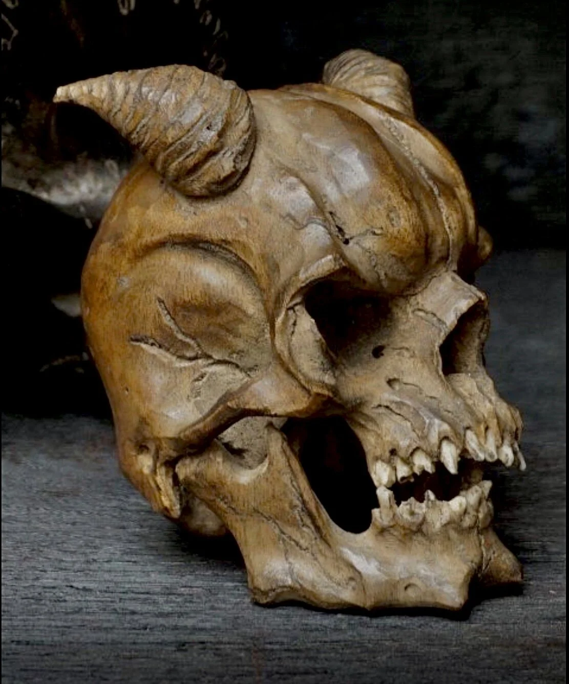 Incredible 18th Century carved Mythical Demon Head, Burr Walnut. 8.5 cm's x 8 cm's x 7 cm's circa 1700-20