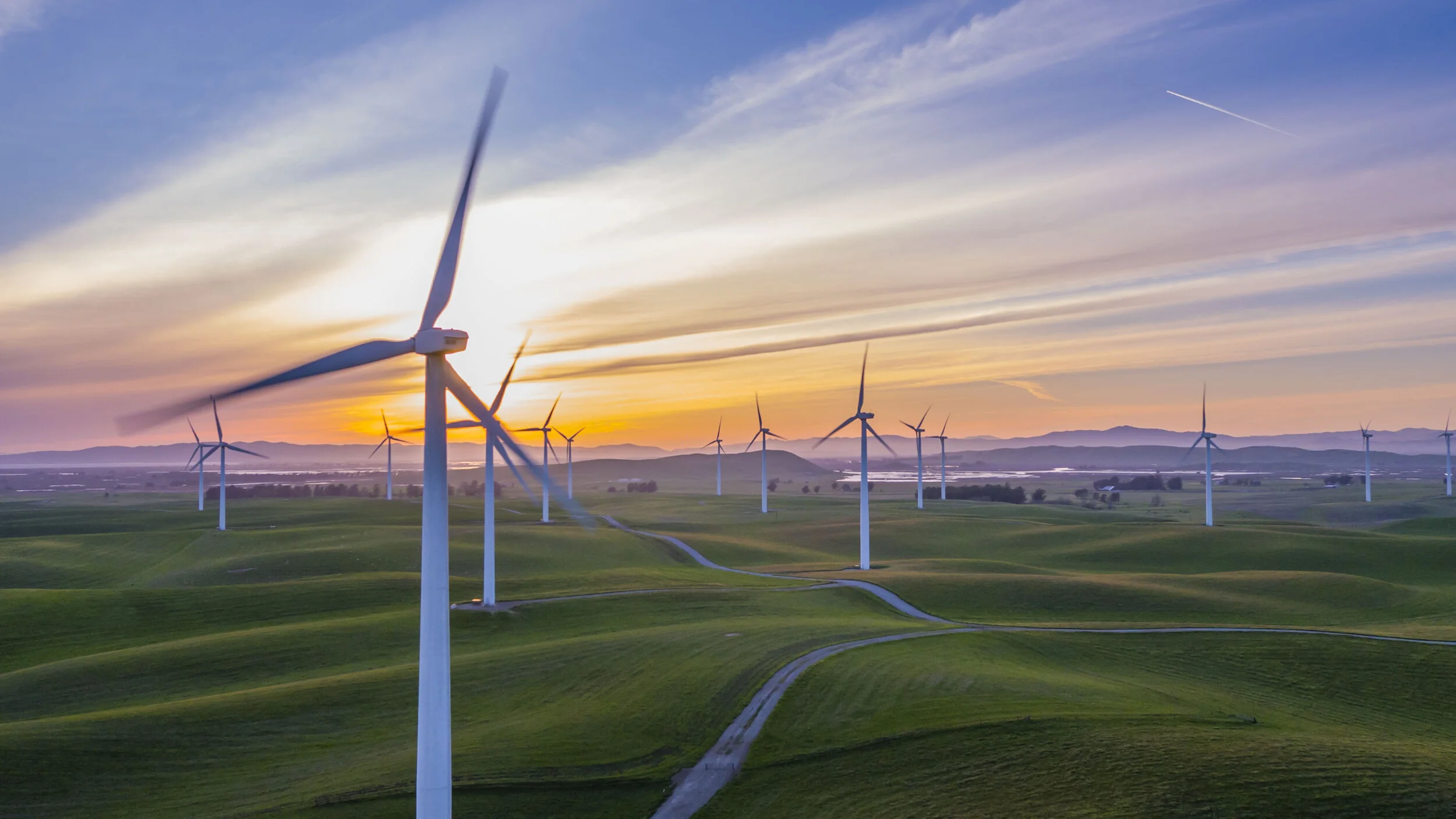 Las palabras se las lleva el viento…