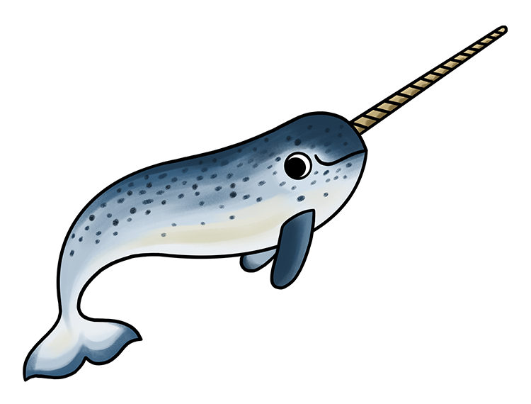 Narwhal.png