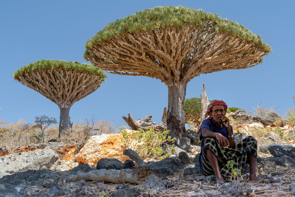 inertia travel socotra