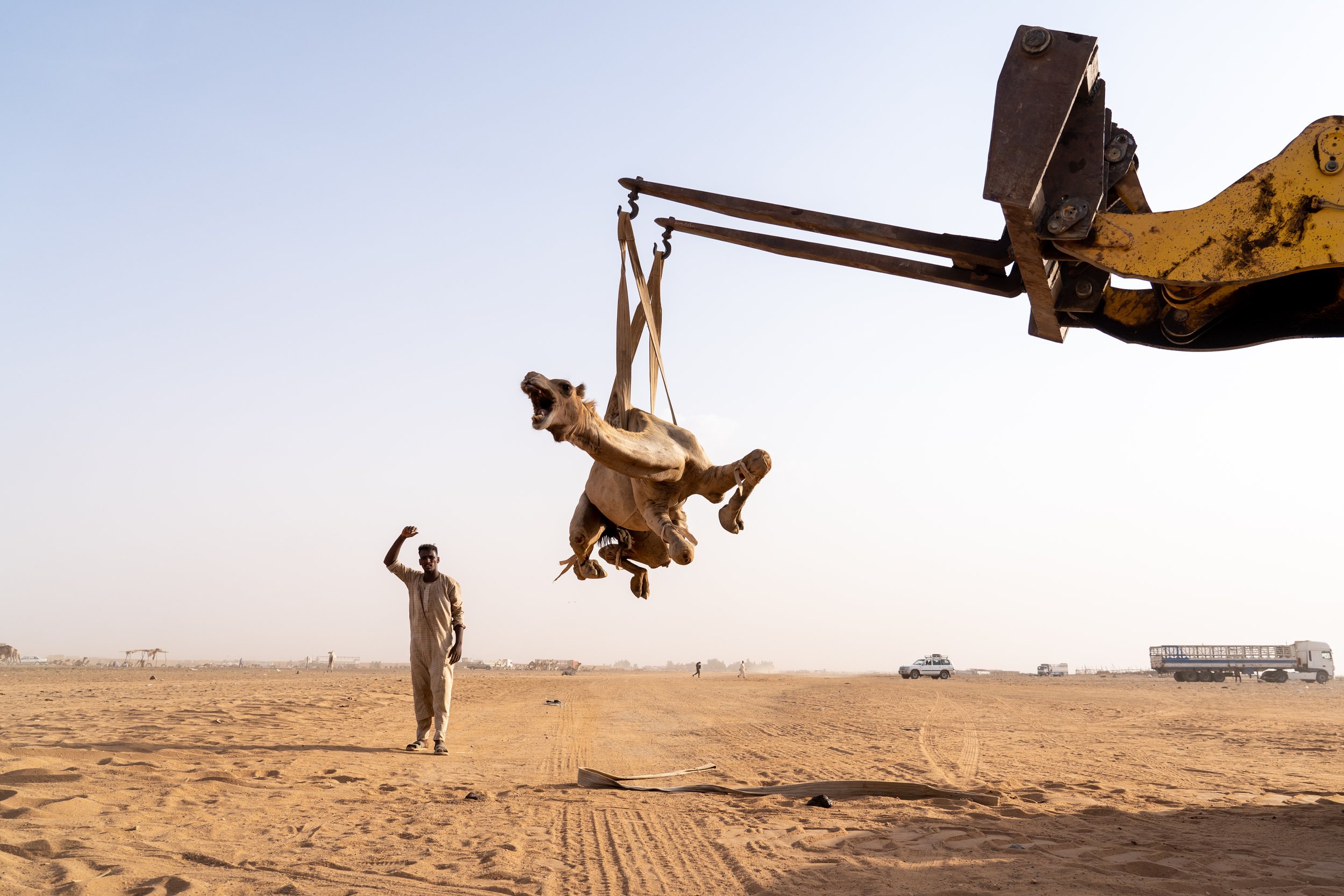 matt-reichel-khartoum-camel-market-sudan-4.jpg
