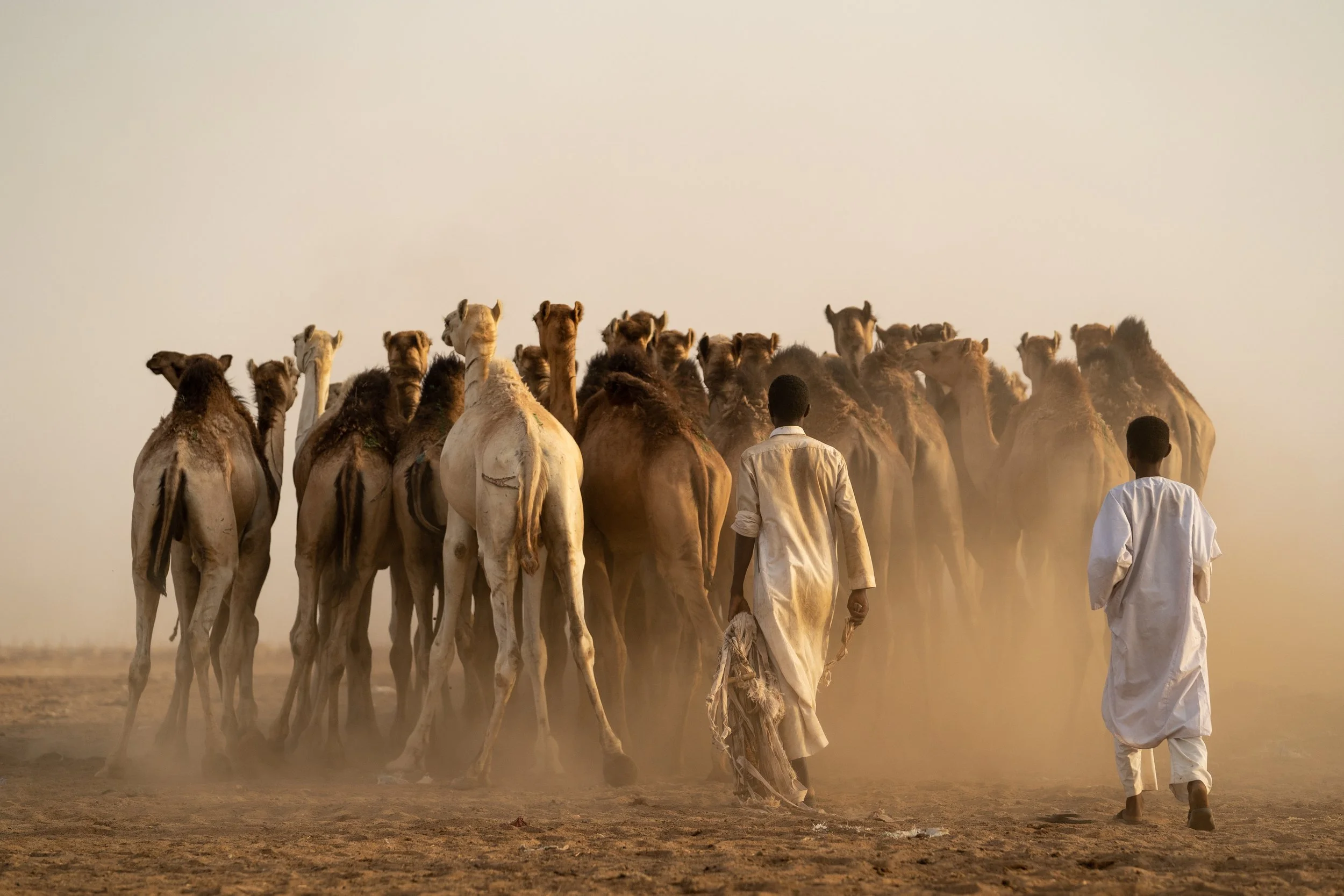 matt-reichel-khartoum-camel-market-sudan-25.jpg