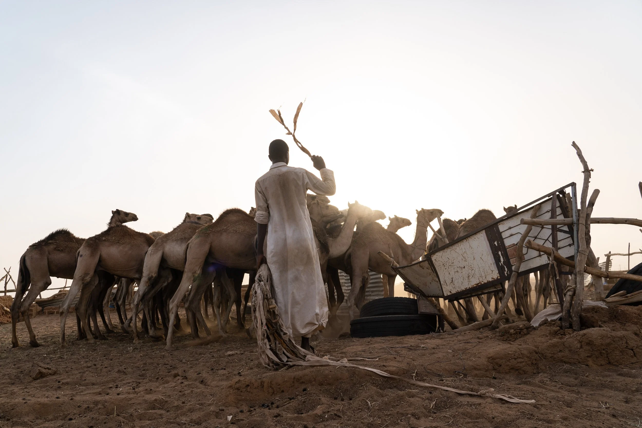 matt-reichel-khartoum-camel-market-sudan-30.jpg