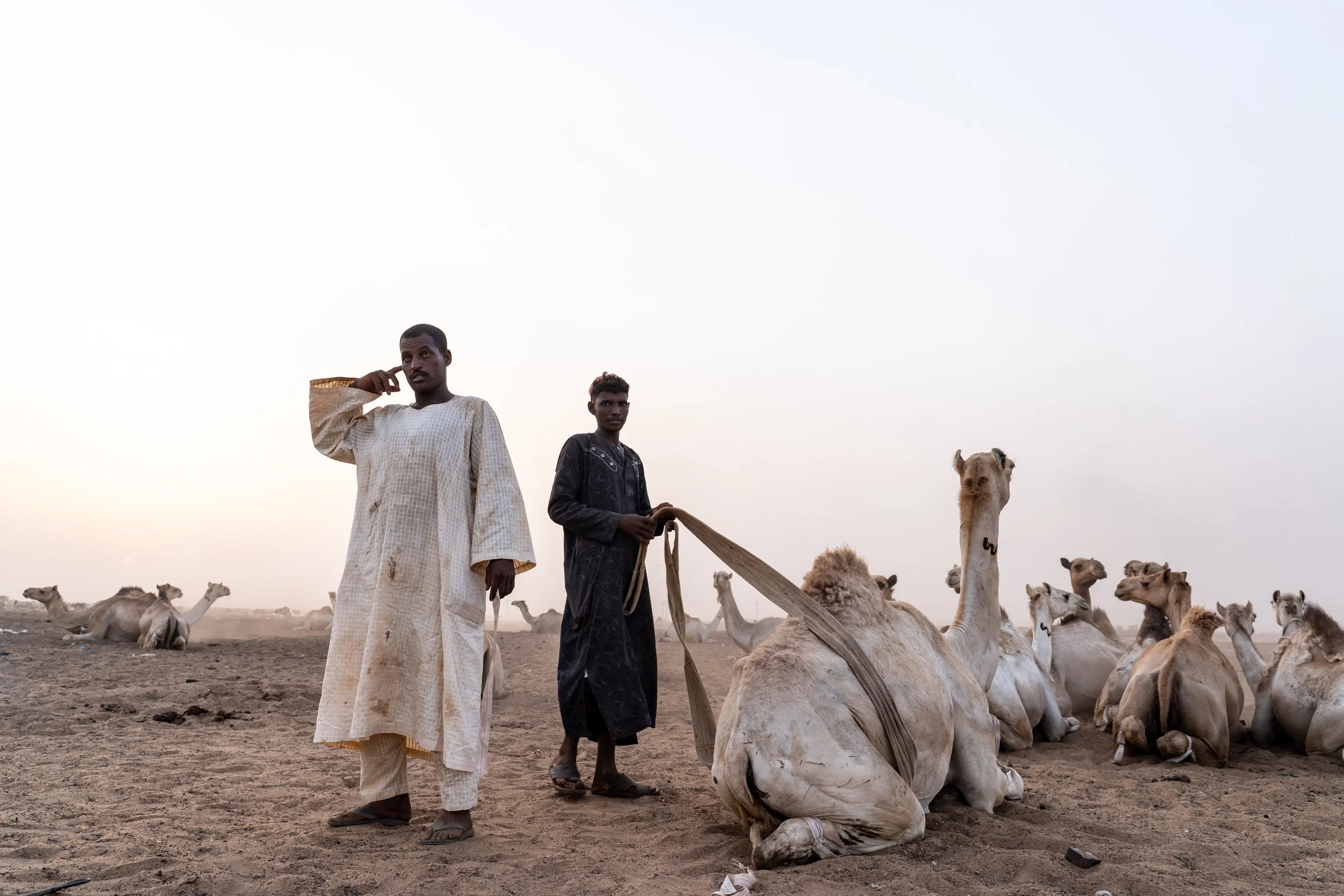 matt-reichel-khartoum-camel-market-sudan-43.jpg