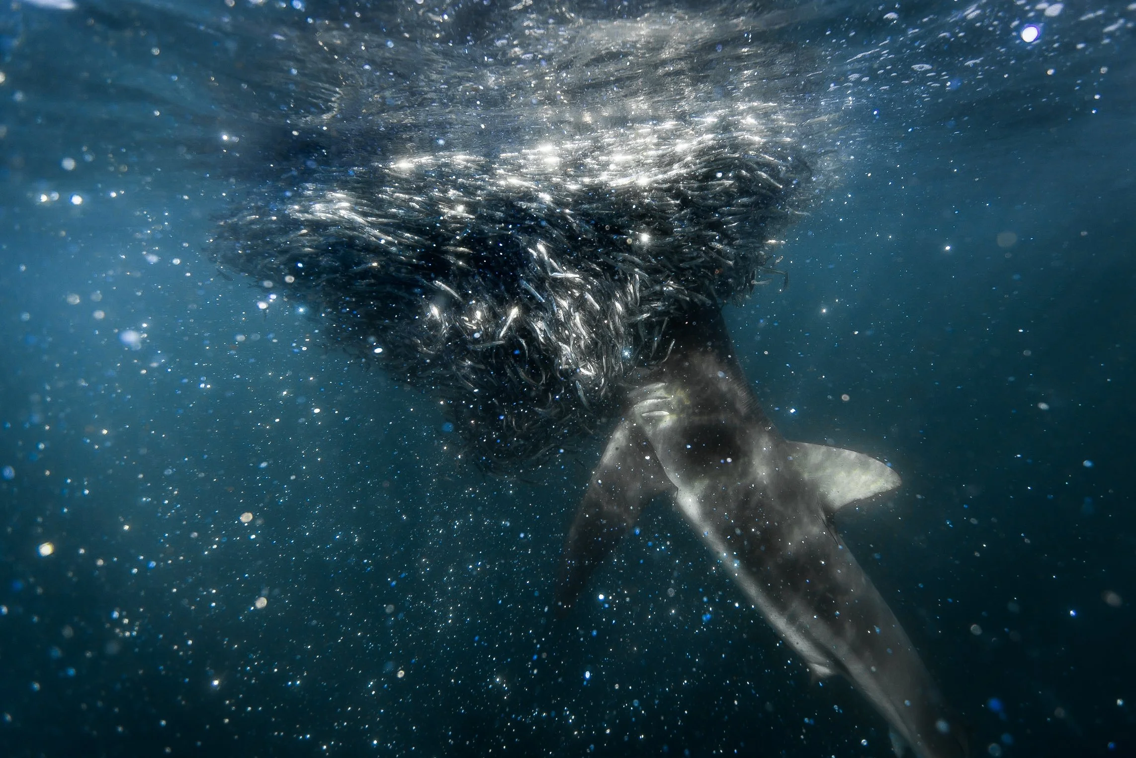 20180620 - untitled - _95A0474.jpg