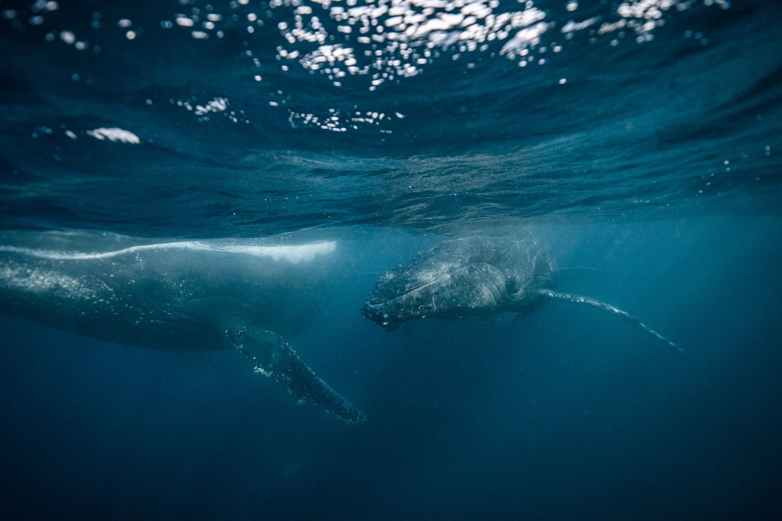 20230624 - untitled - DSC01189-2.jpg