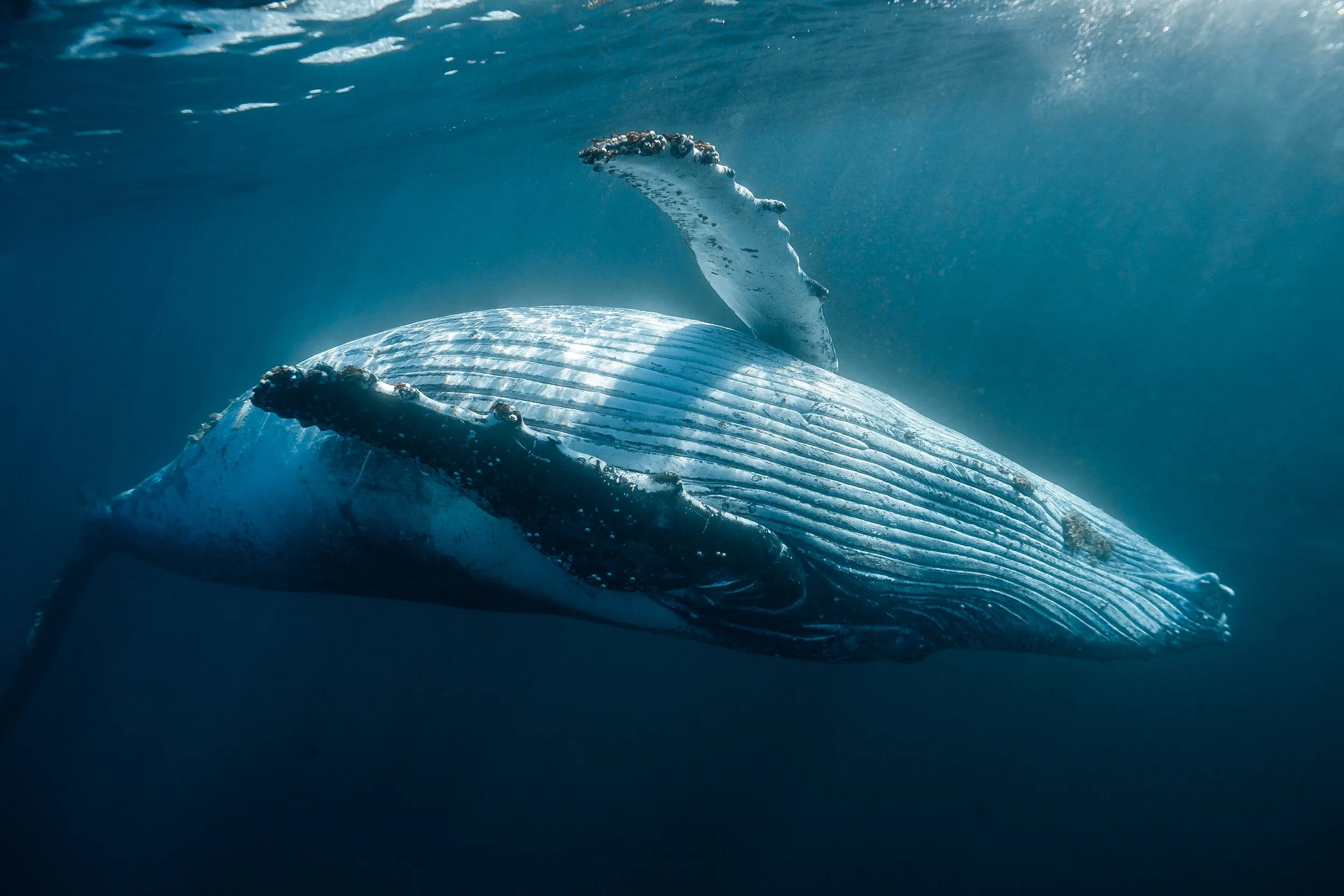 20230703 - untitled - DSC02026.jpg