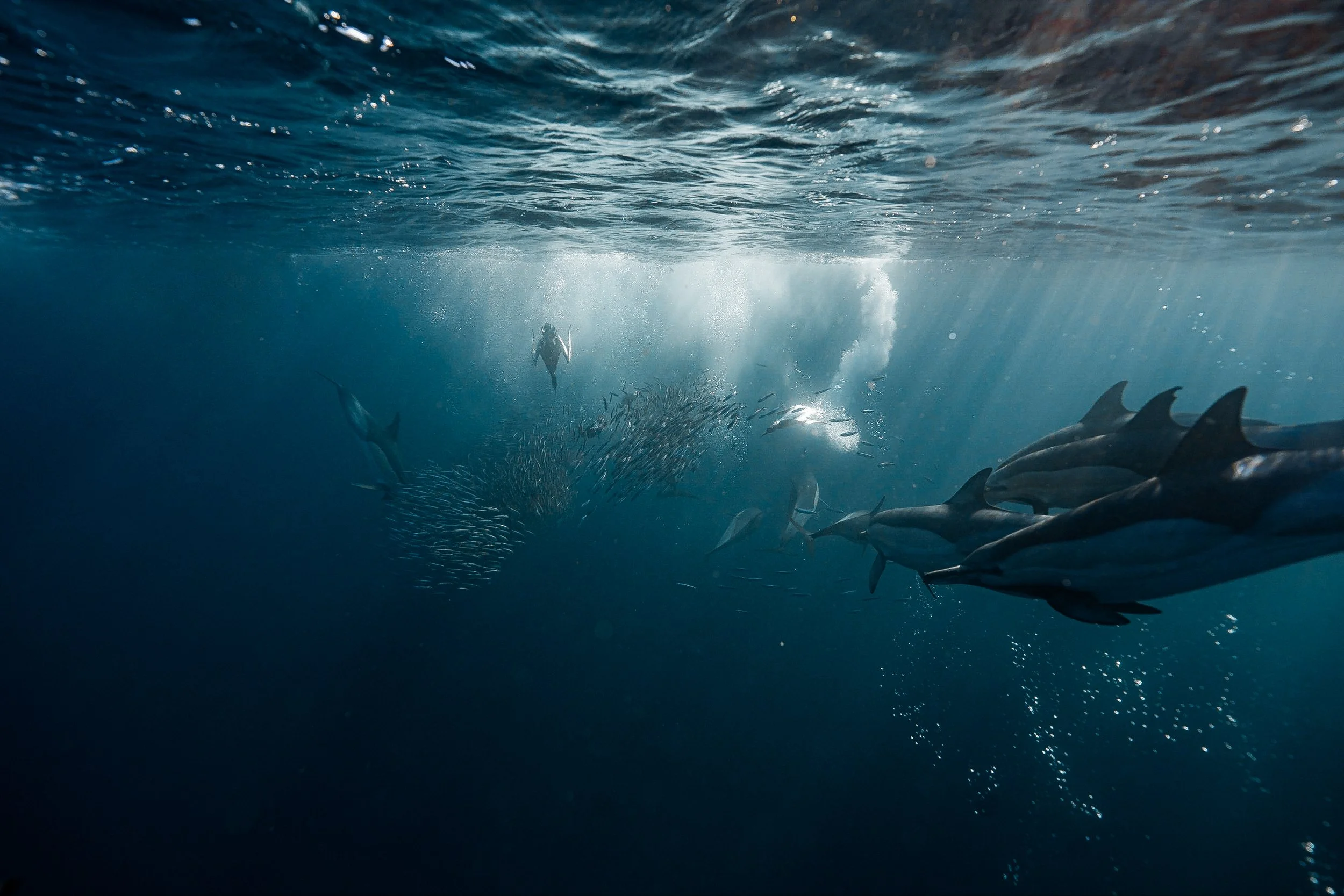 20230703 - untitled - DSC02193.jpg