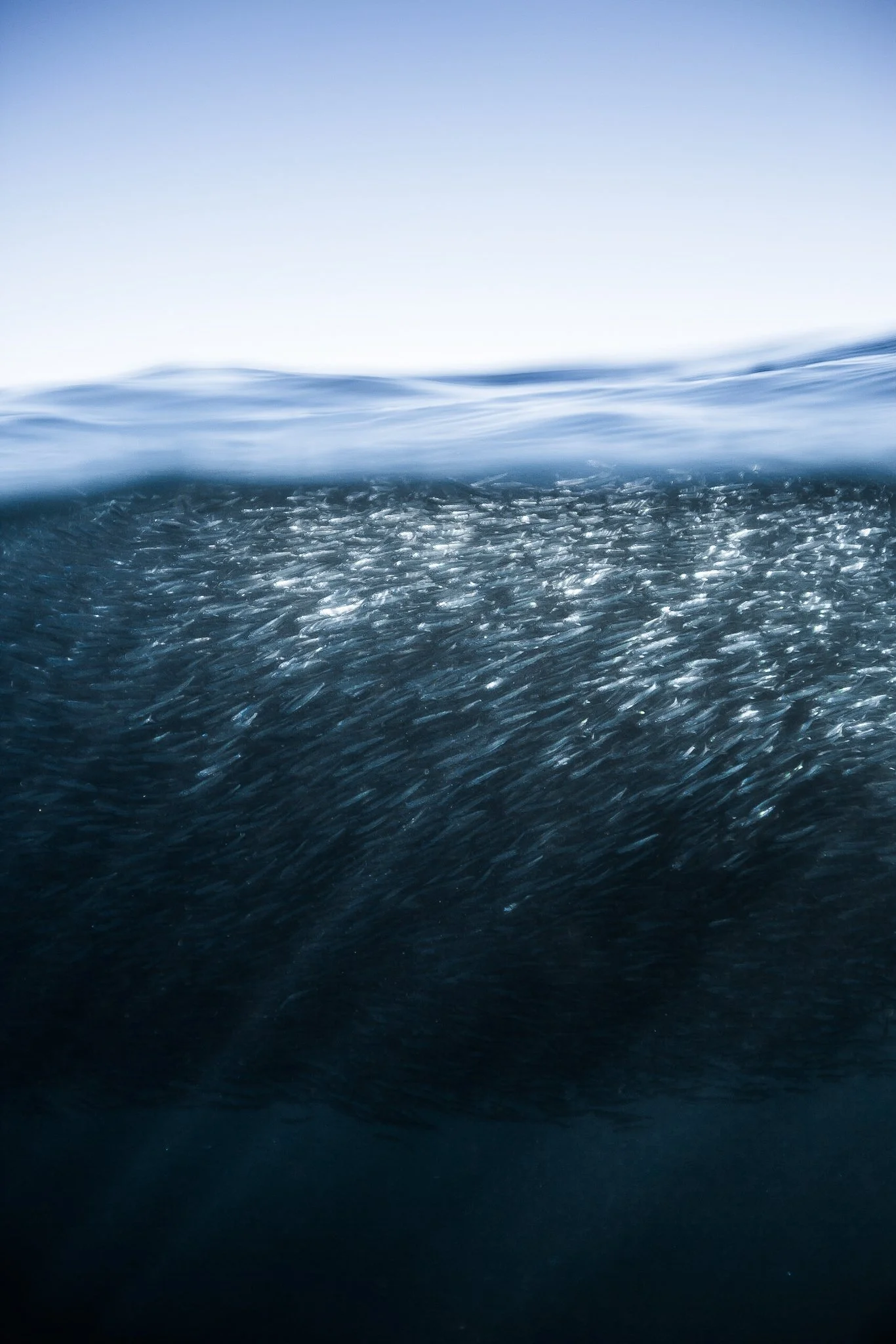 A TRANSIENT MOMENT OF CALM.jpeg