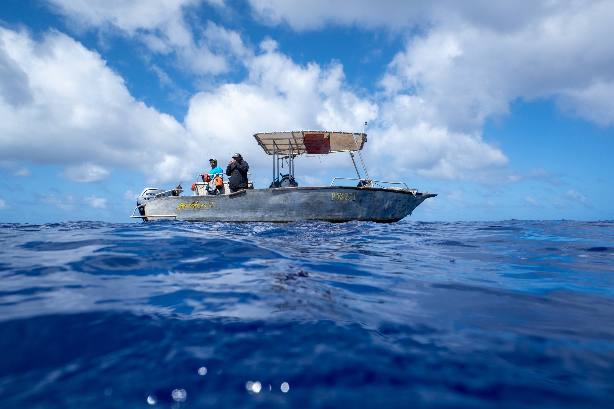 rurutu-inertia-network-matt-reichel-one-with-whales-swim-with-humpback-whales-french-polynesia-167.jpg