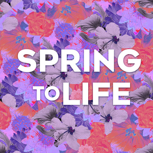 Spring-to-life_graphics_title.jpg