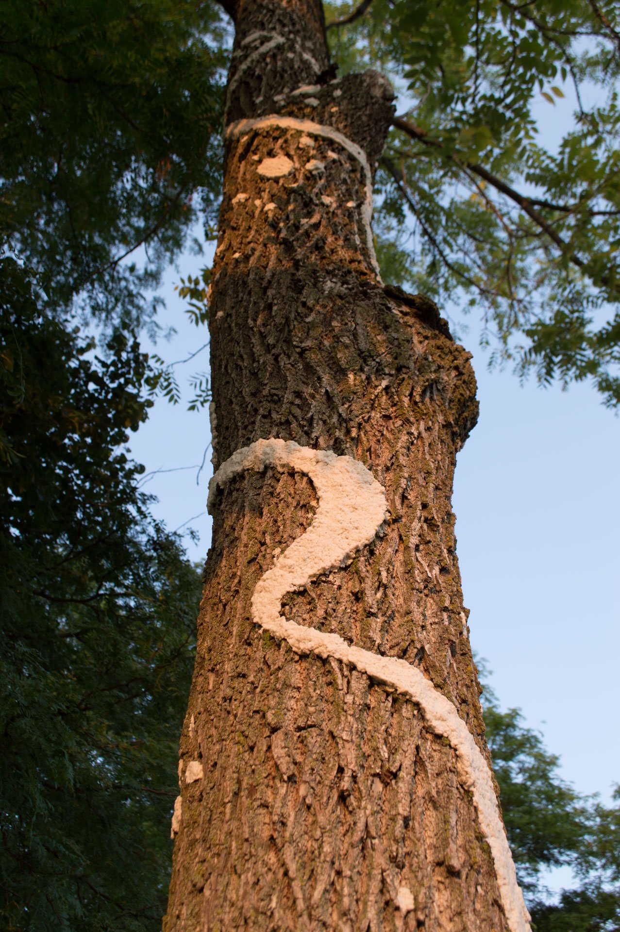 Aldo Leopold Park, August 11, 2026