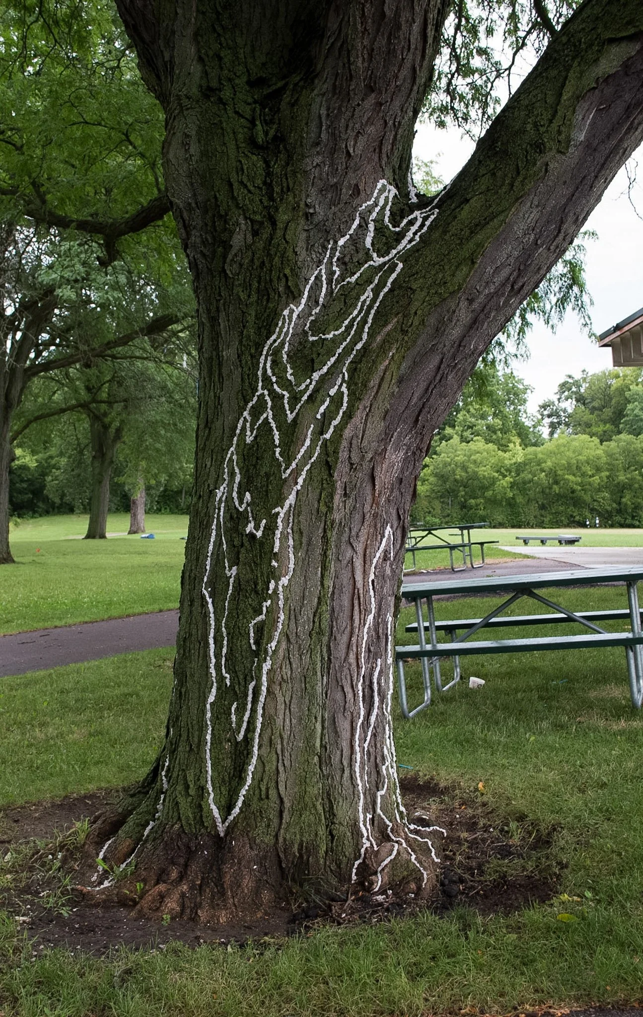 Penn Park, August 6, 2026