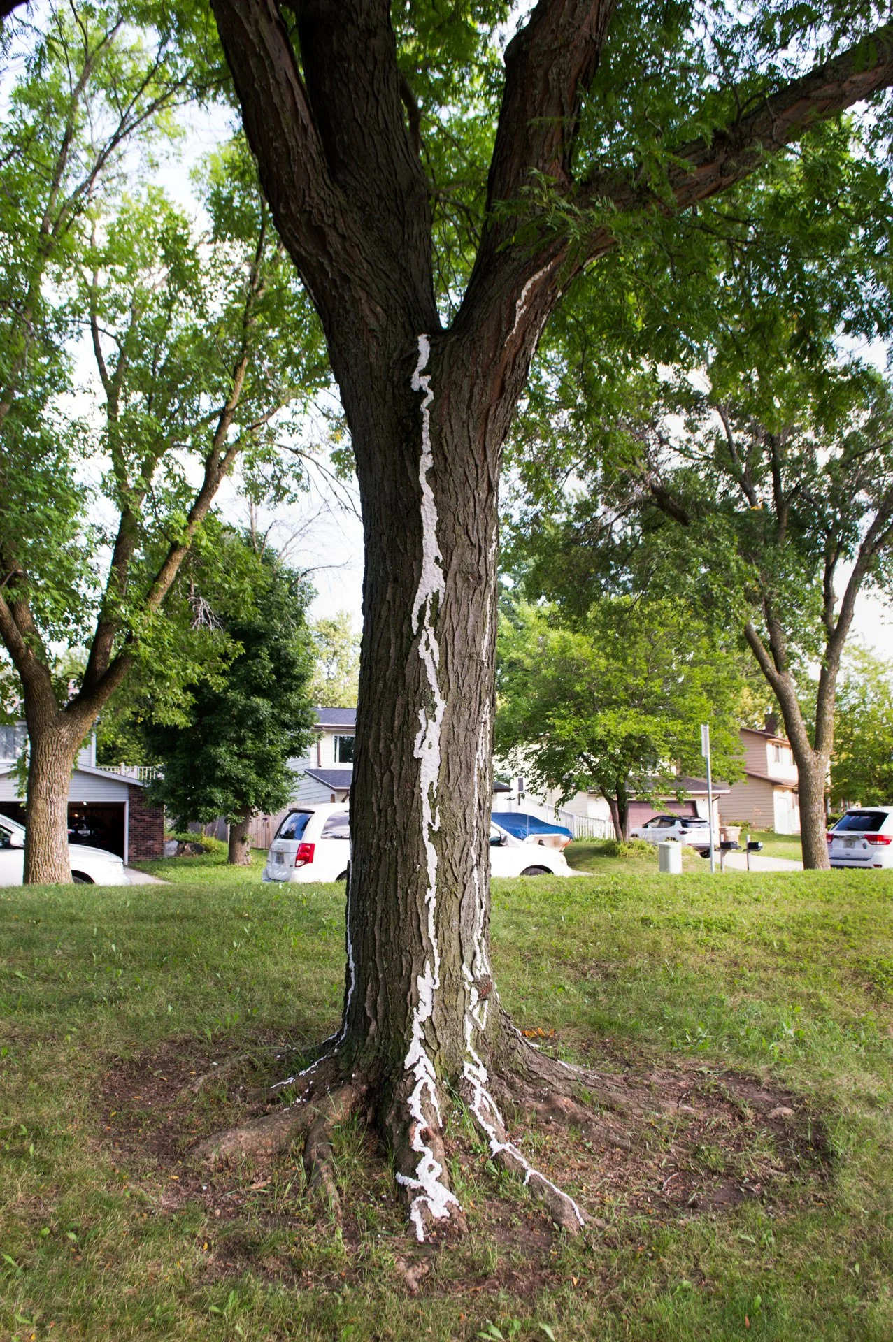 Aldo Leopold Park, August 11, 2026