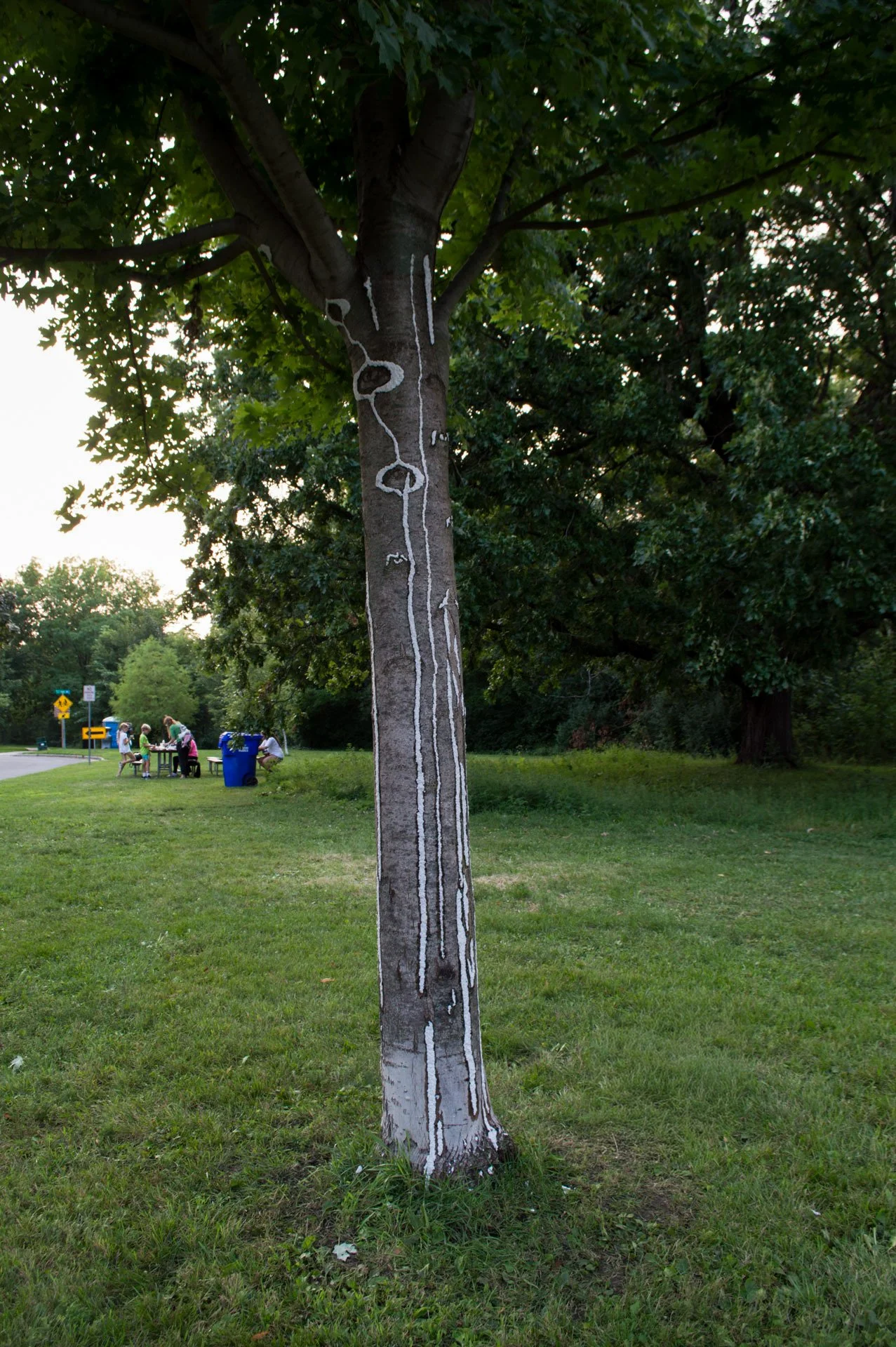 Warner Park, August 12, 2026